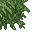 lush grass