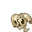 skull