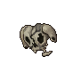 skull