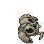 skull