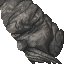 face of the Colossus