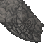 beard of the Colossus