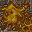 slime fungus