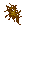 slime fungus