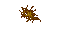slime fungus