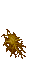 slime fungus
