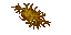 slime fungus