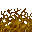 slime fungus