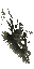 broken wall
