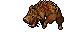 dead boar