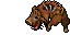 dead boar
