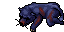dead midnight panther