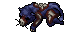 dead midnight panther