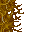 slime fungus