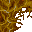 slime fungus