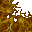 slime fungus