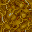 slime fungus