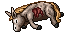 dead donkey