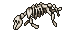 dead donkey