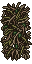 branches