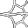 large spider web