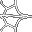 large spider web