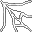 large spider web