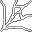 large spider web