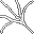 large spider web