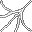 large spider web