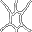 large spider web