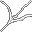 large spider web