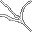 large spider web