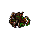 dead sacred spider