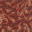 hive structure