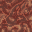 hive structure