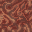 hive structure