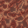 hive structure
