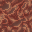 hive structure