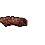 hive structure