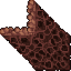 hive structure
