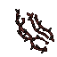 hive structure