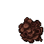 hive structure