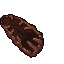 insectoid cell