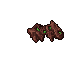 hive structure