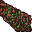hive structure