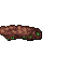 hive structure