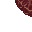 hive structure