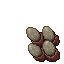 insectoid egg