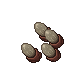 insectoid egg